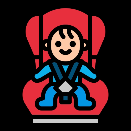Baby Transport icon