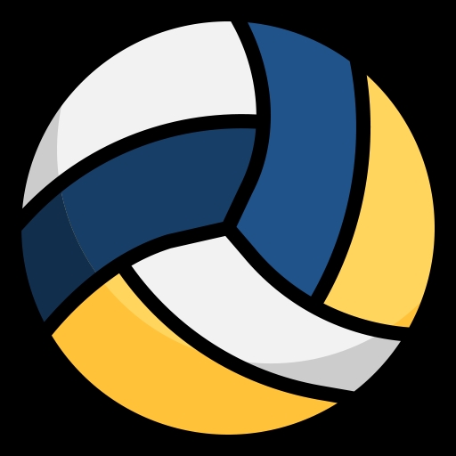 Volleyballs icon