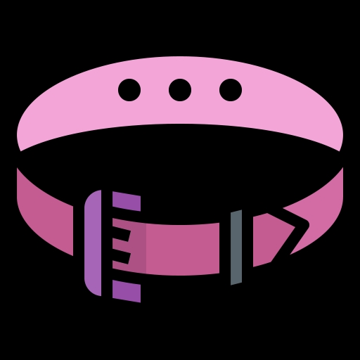Belts icon