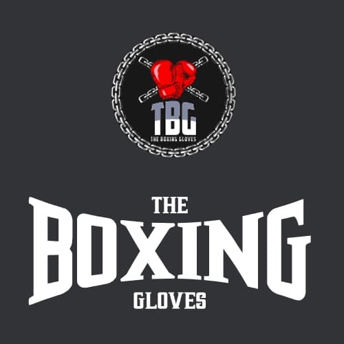 The Boxing Gloves logo
