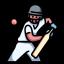 Cricket - Other