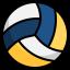 Volleyballs