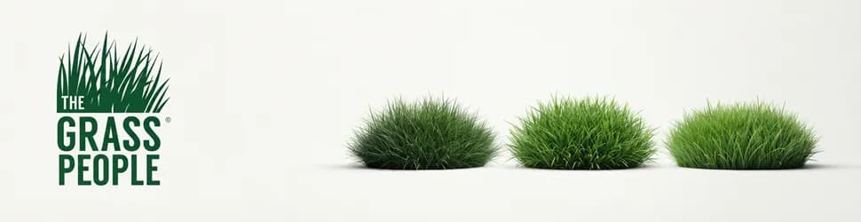 https://zone-offer.com/uploads/pictures/banners/UK/Banner__awin__the-grass-people__eVhtL3NDaityQXhDMVBXa3VaOGs__WsRSB6Z8rFAwbrE9P7Ft__large.webp