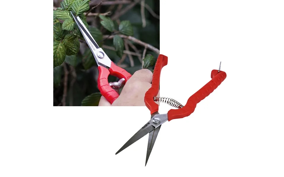 Amtech Precision Stainless Steel Secateur 8 200mm Pruning Secateurs Shears Pruners