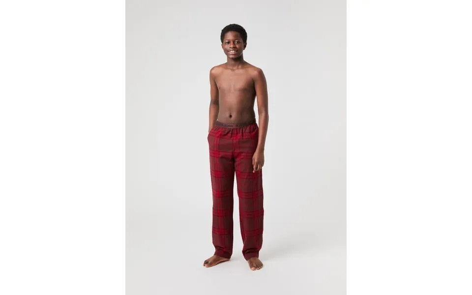 Core Flannel Pyjama Pants