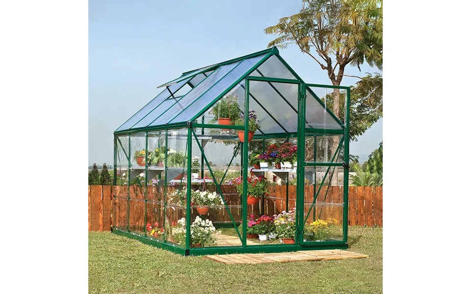6' X 6' Palram Canopia Hybrid Green Polycarbonate Greenhouse 1