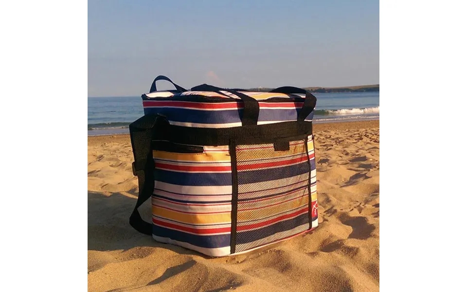 Icemax Picnic Coolbag