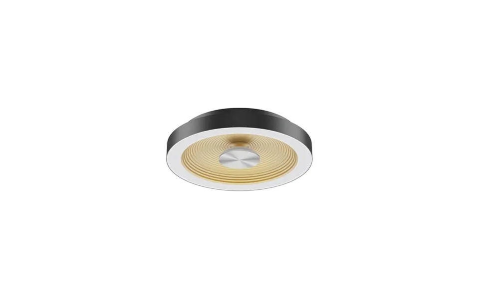 Generate Lustre Ceiling Light Matt Black Gold Collingwood Lighting