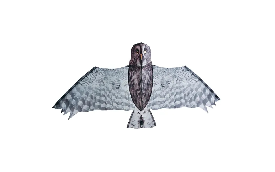 Brookite Grey Owl Kite