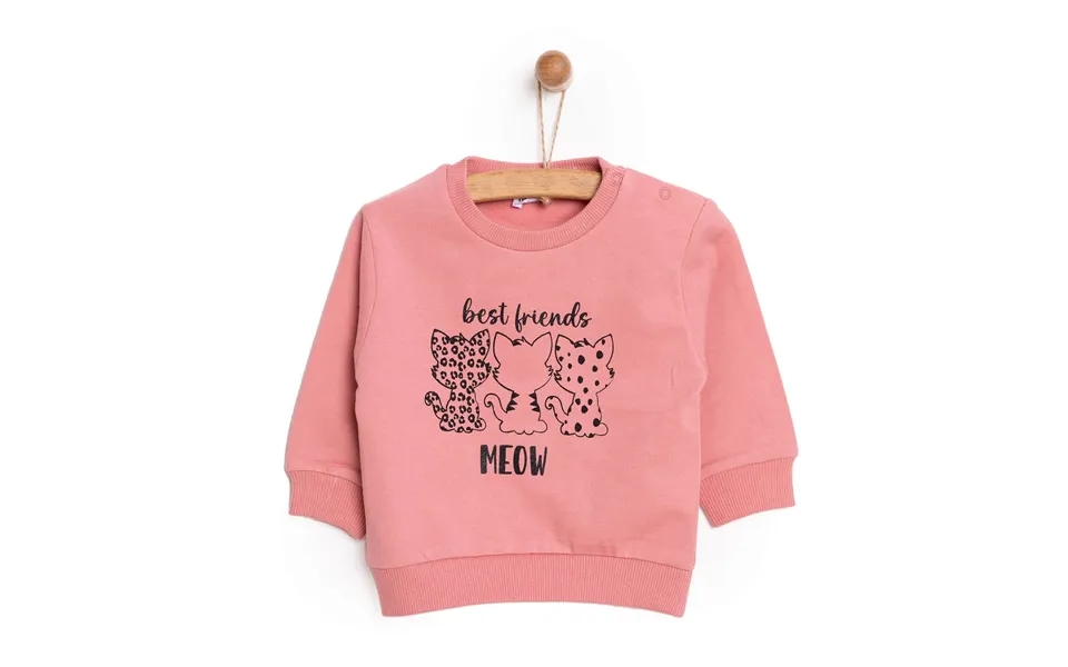 Hellobaby Baby Girl Cat Printed Sweatshirt - Light Rose, 6 Months