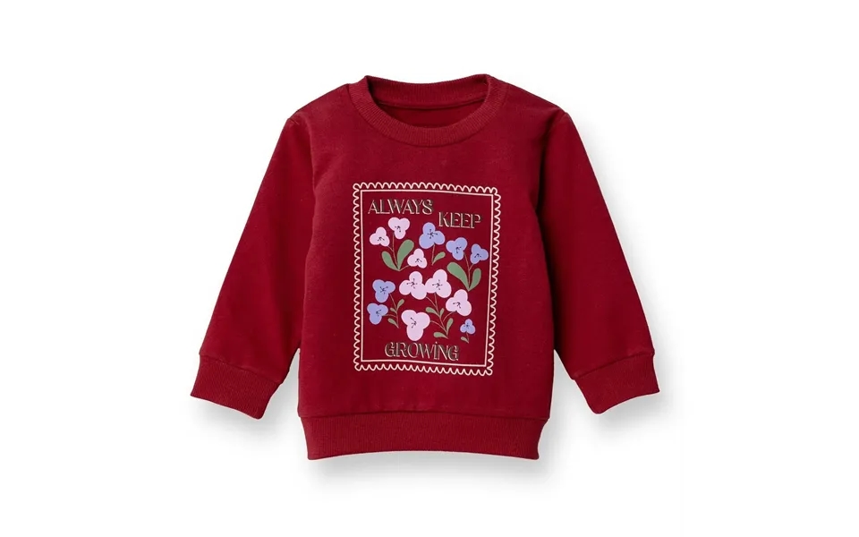 Hellobaby Sweatshirt - Maroon