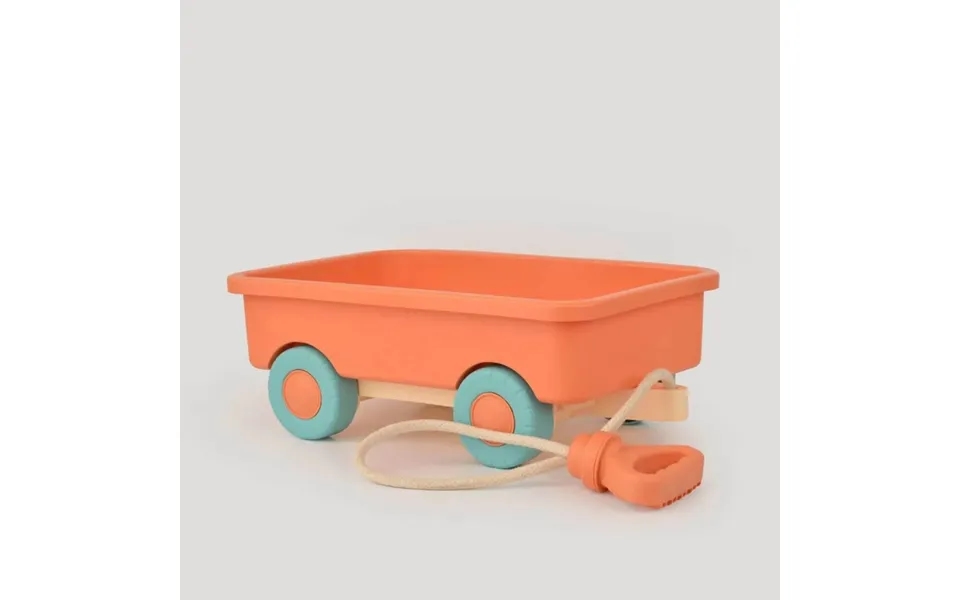 Let's Be Child Push-pull Wagoon