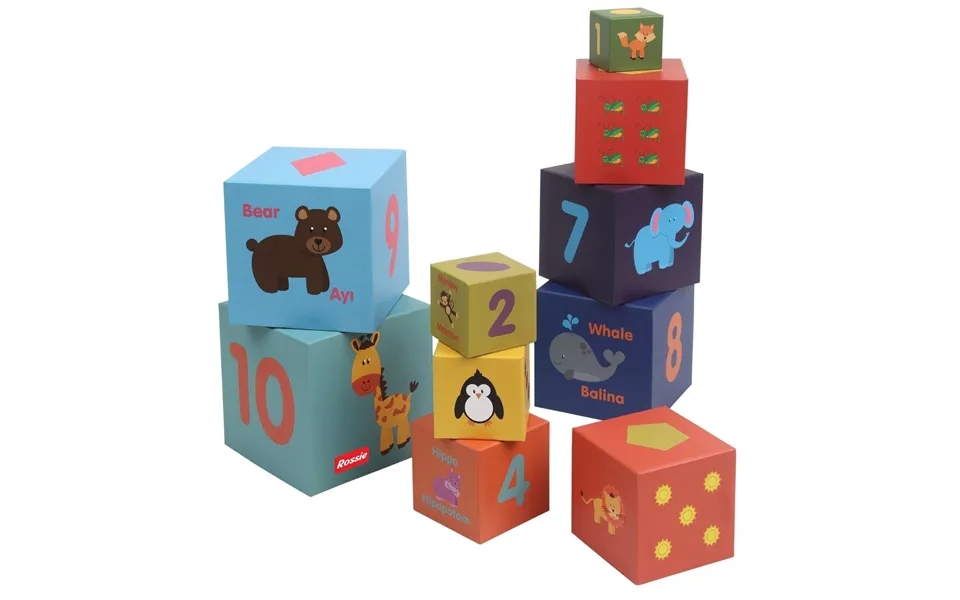 Rossie Educational Cube 10 Pieces