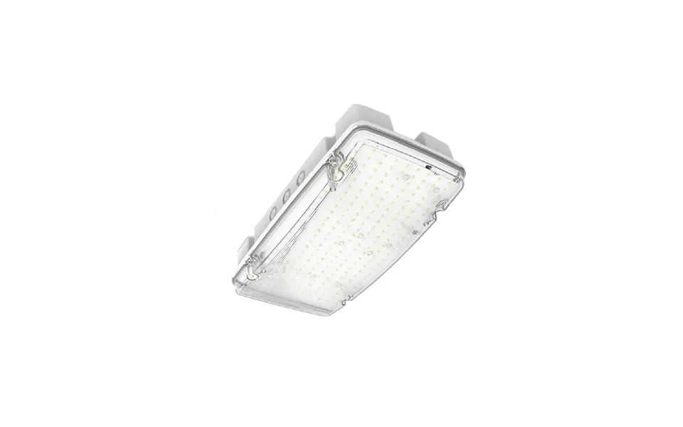 Collingwood Salvus Max Switchable Wattage Non-maintained Emergency Bulkhead