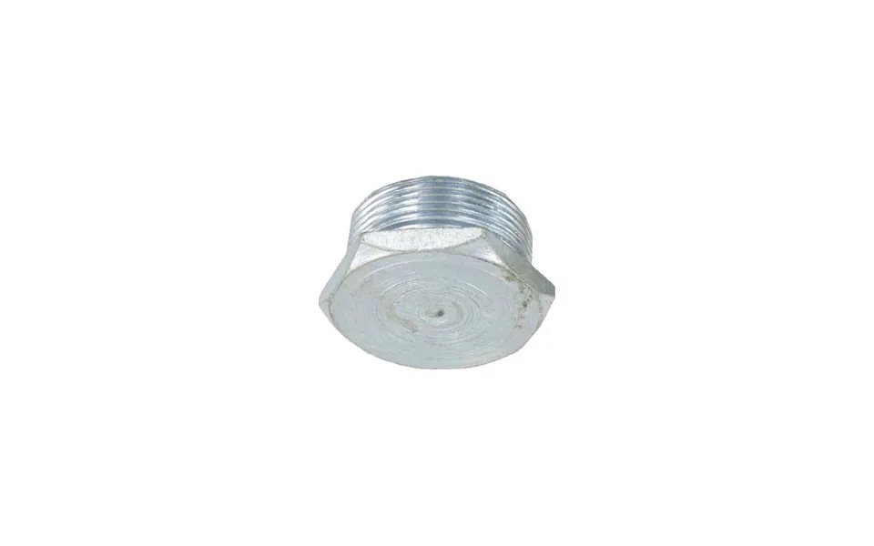 Hexagonal Blanking Plug 20mm Galvanised