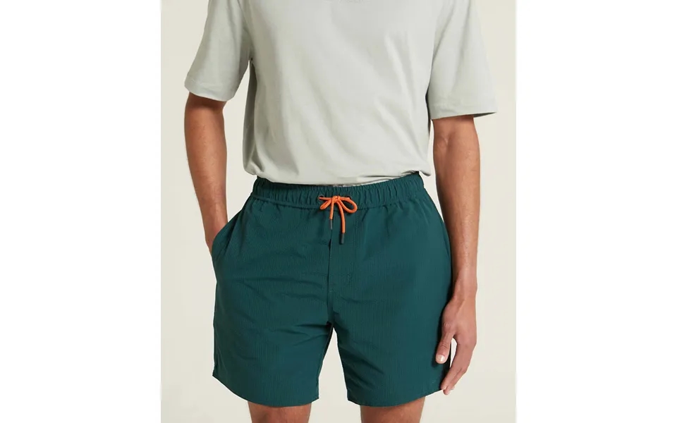 Mens Seersucker Swim Shorts - Green Stripe