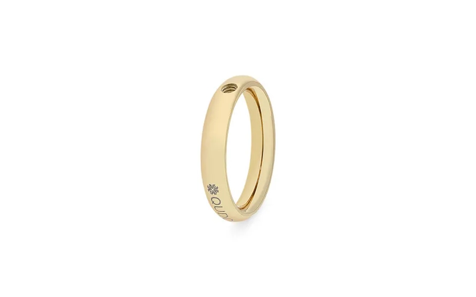 Slim Gold Interchangeable Ring - Size 54