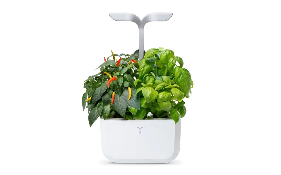 Veritable Exky 2-slot Smart Indoor Garden In Arctic White & Satin Silver