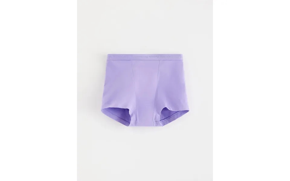 Period Panty With Super Absorbency Teens Boxer Female Engineering