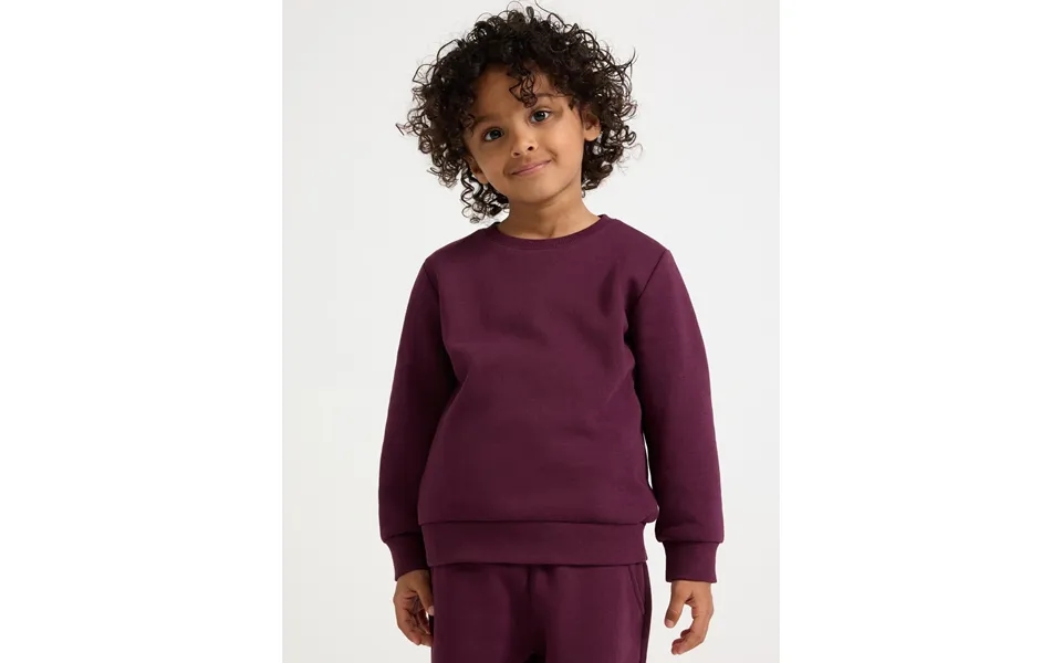 Sweatshirt With Brushed Inside