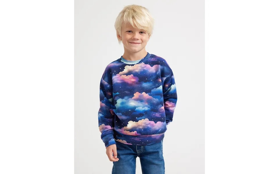 Sweatshirt With Brushed Inside