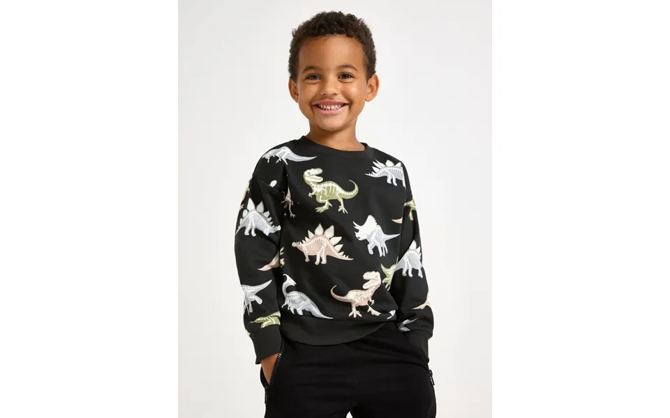 Sweatshirt With Brushed Inside