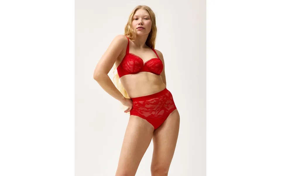 The Bird Wire Bra Closely