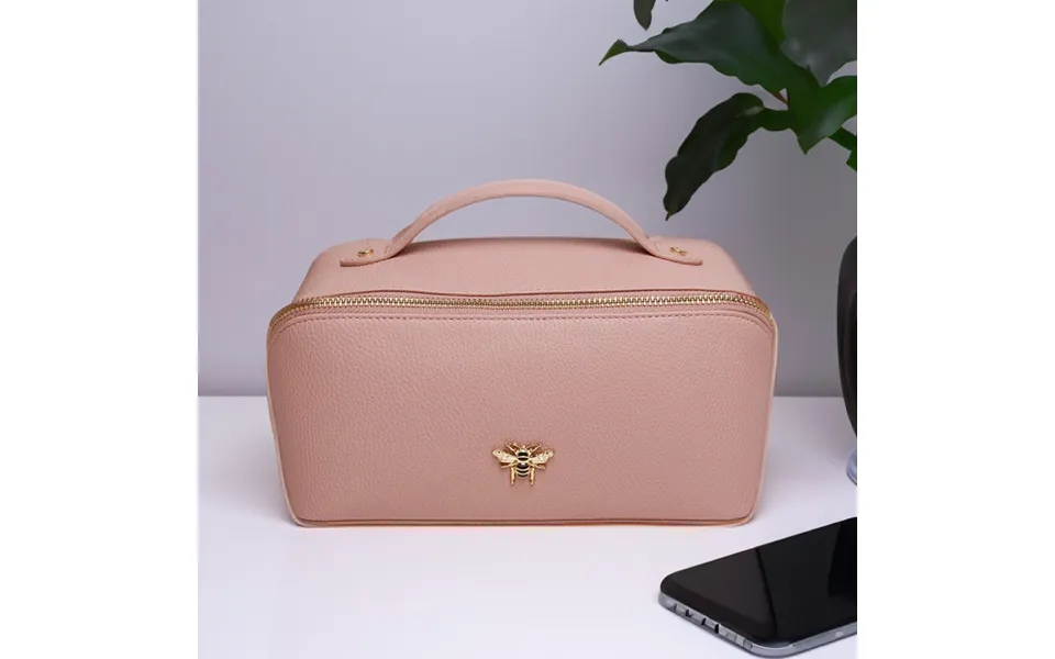 Alice Wheeler Pink Train Case