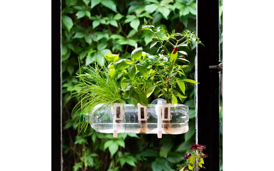 Bottle Farm Plant Grow Kit