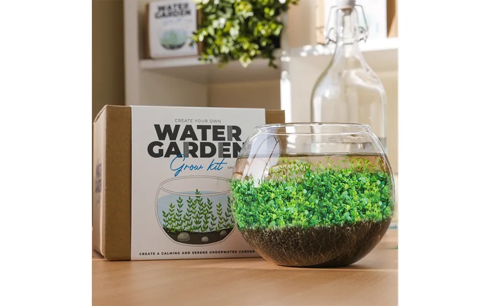 Create Your Own Water Garden Grow Kit