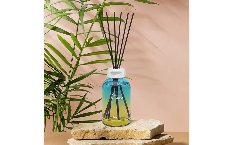 Desire Vanilla & Anise Gradient Diffuser
