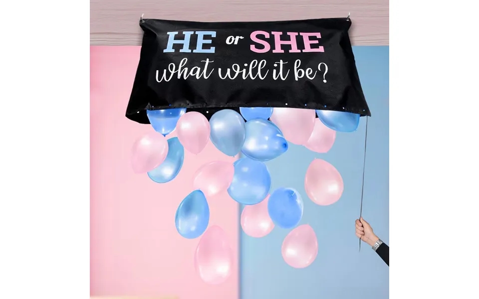 Gender Reveal Pink And Blue Balloon Set