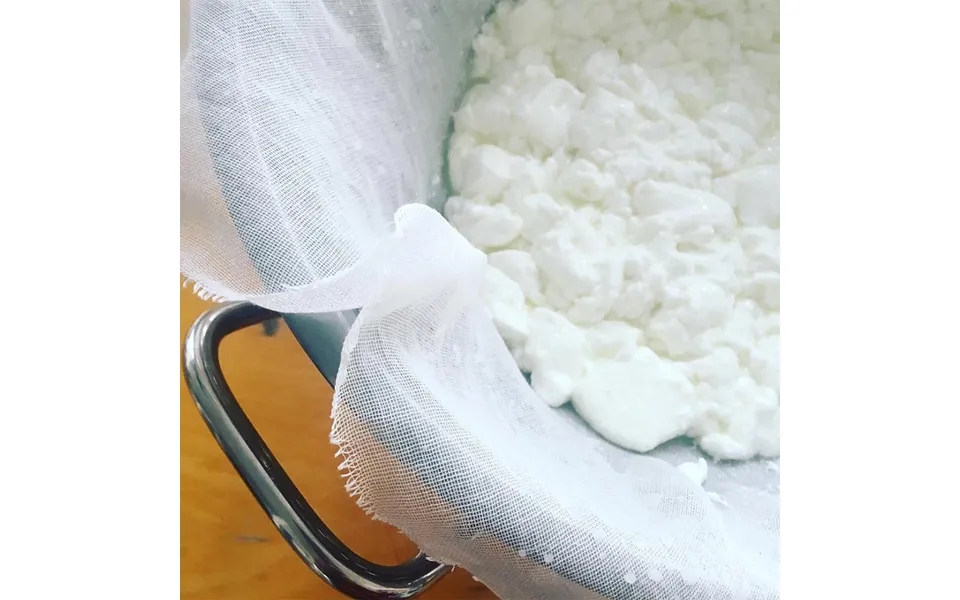 Goat Cheese Making Kit