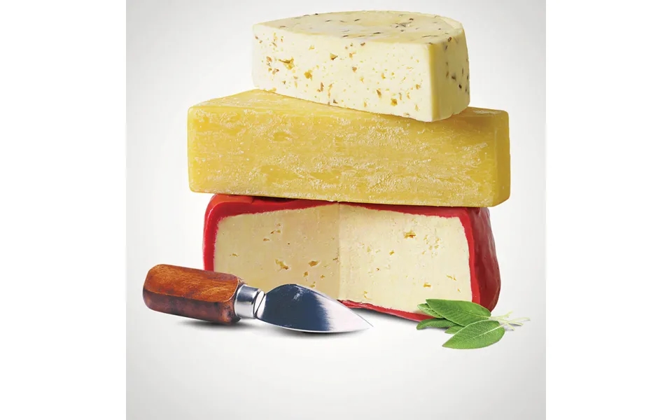 Hard Cheese Making Kit