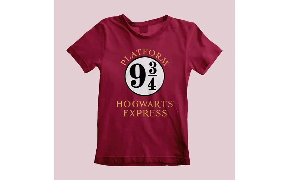 Harry Potter Hogwarts Express T-shirt Xx-large
