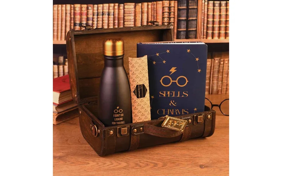 Harry Potter Trouble Finds Me Hogwarts Trunk Gift Set