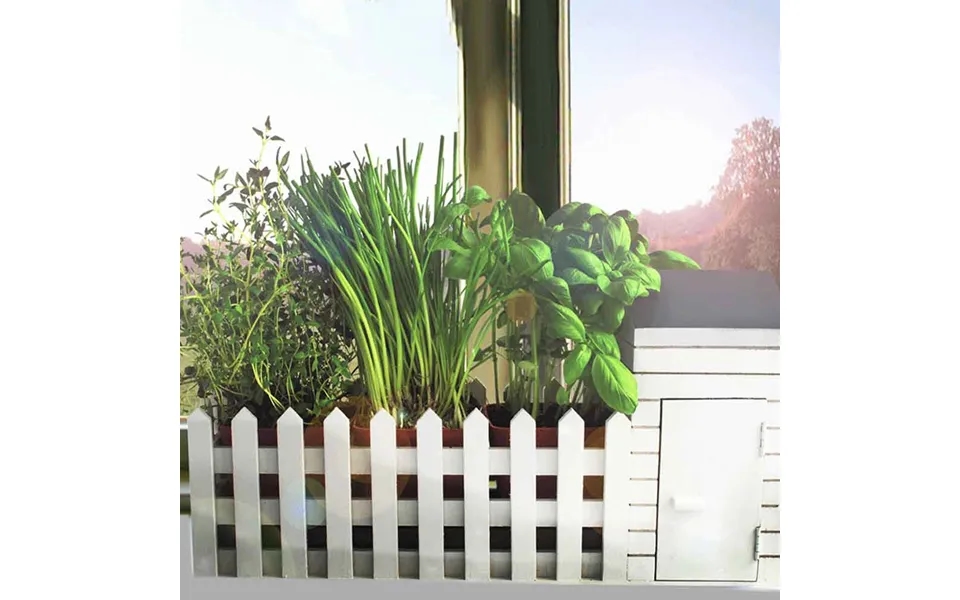 Indoor Allotment Gift Set
