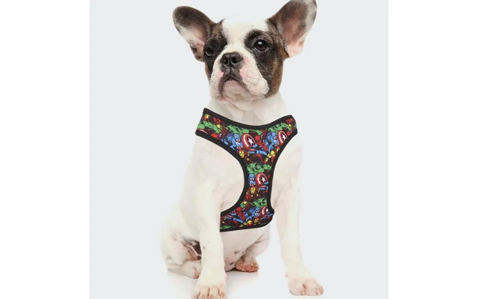 Marvel Dog Harness Small Medium
