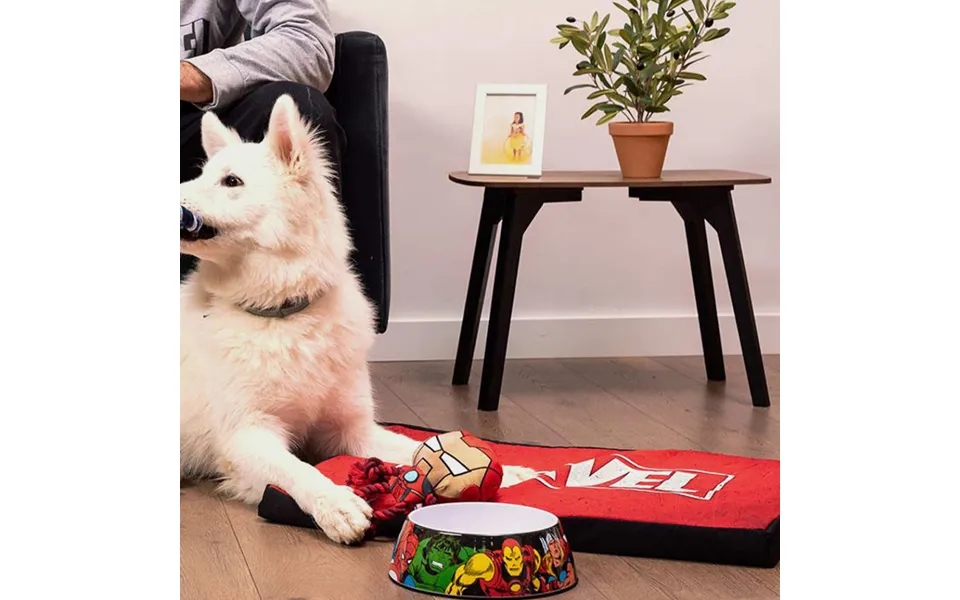 Marvel Pet Bed Small