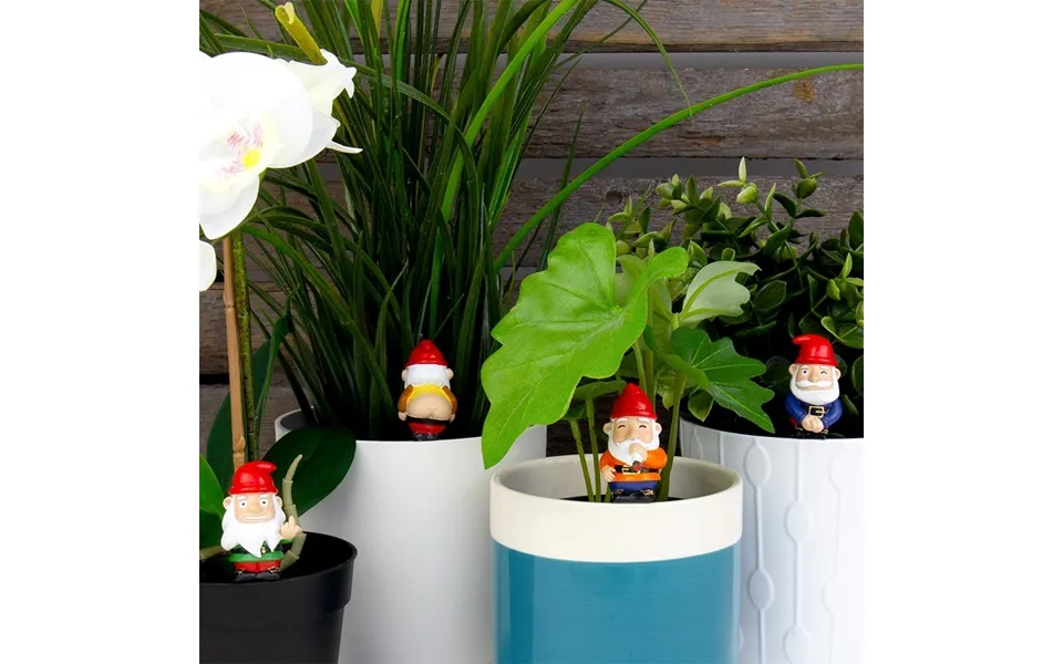 Mini Plant Pot Naughty Gnomes Set Of 4