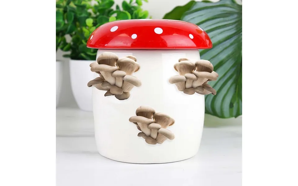 Mushroom Planter Grow Kit