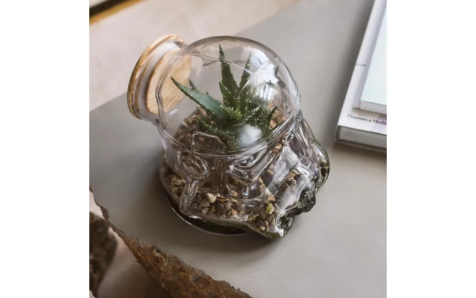 Original Stormtrooper Terrarium