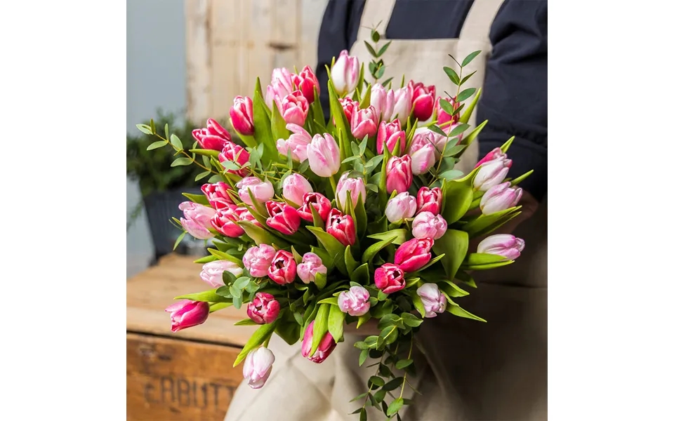 Portia - Mixed Tulips