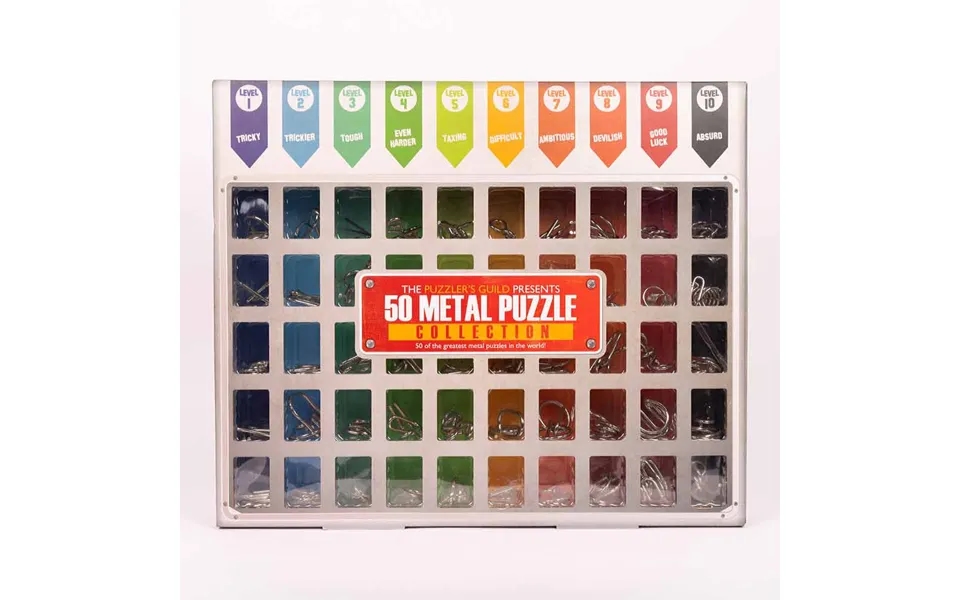 Professor Puzzle 50 Metal Puzzles
