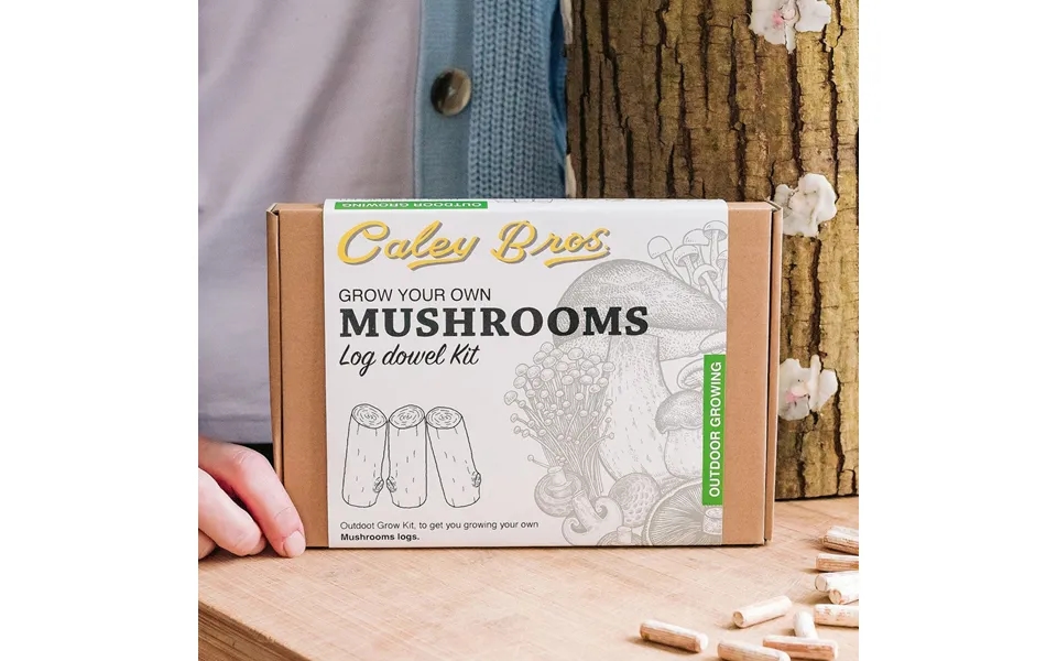 Ready To Grow Log Mushroom Kit