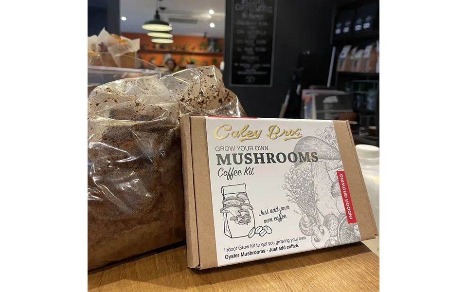Ready To Grow Mushroom Coffee Kit - Grey Oyster