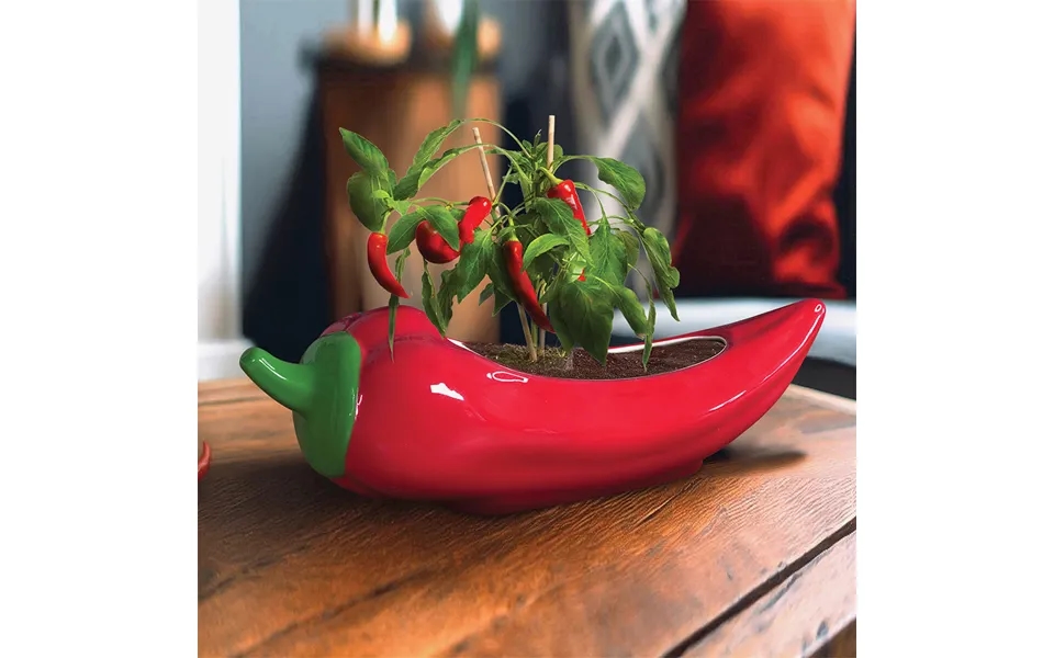 Red Hot Chilli Planter