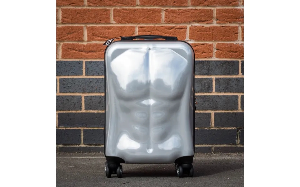 Ripped Luggage Silver