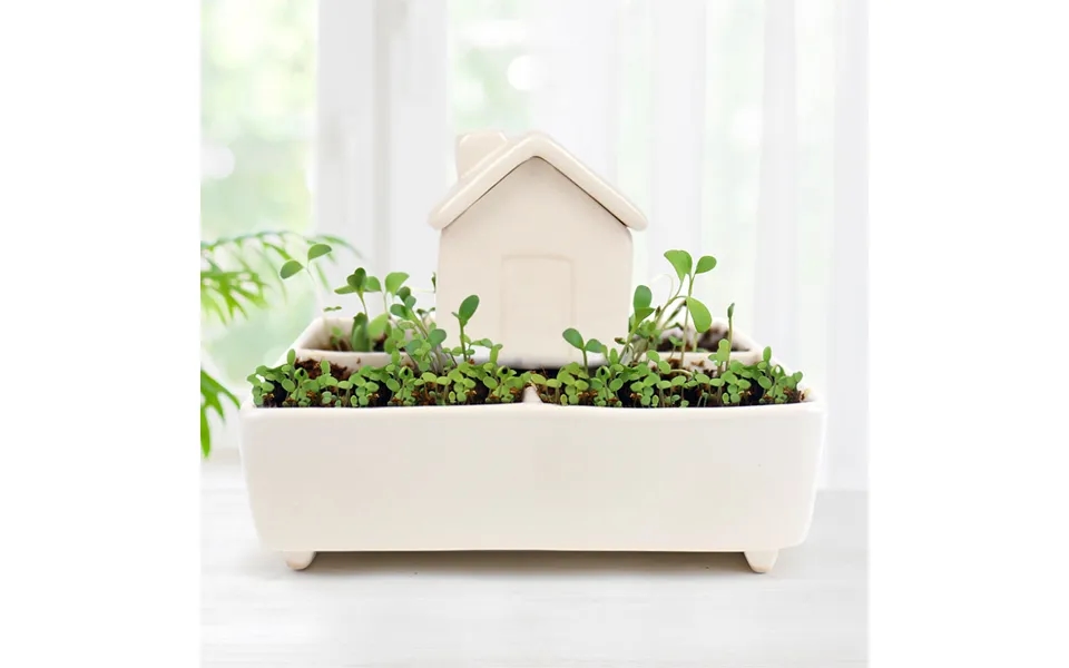 Self Watering Herb House Grow Kit