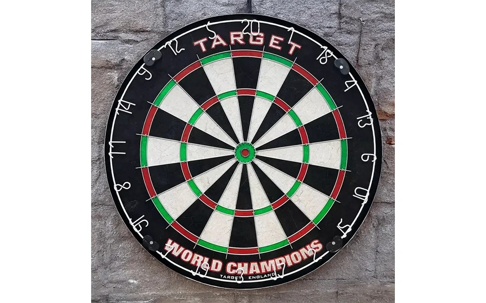 Target Champion Dartboard